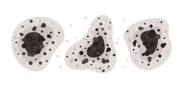 Best Air Quality Testing for Mold Spores  in Paulden, AZ