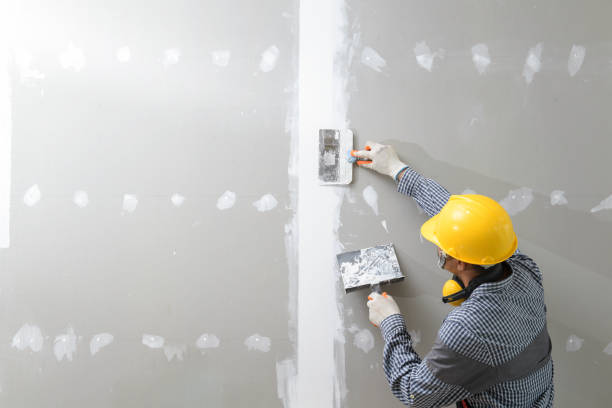 Best Mold Remediation for Rental Properties  in Paulden, AZ