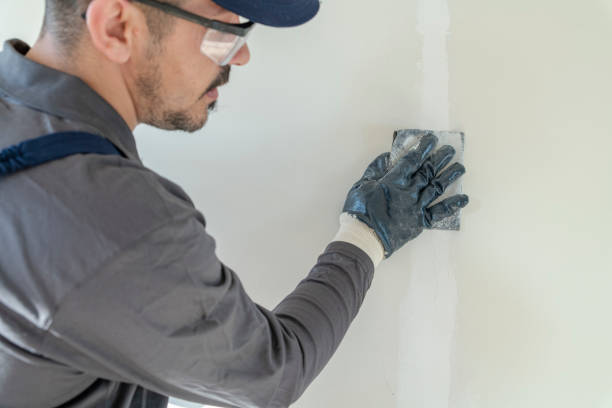 Mold Removal for HVAC Installations in Paulden, AZ