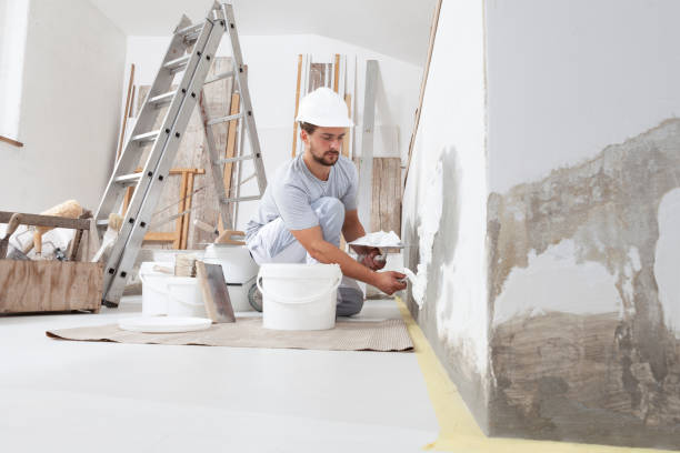 Best Crawl Space Mold Remediation  in Paulden, AZ