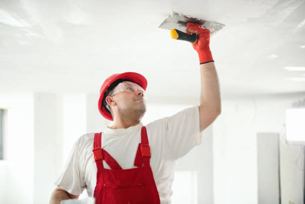 Trusted Paulden, AZ Mold Removal Experts